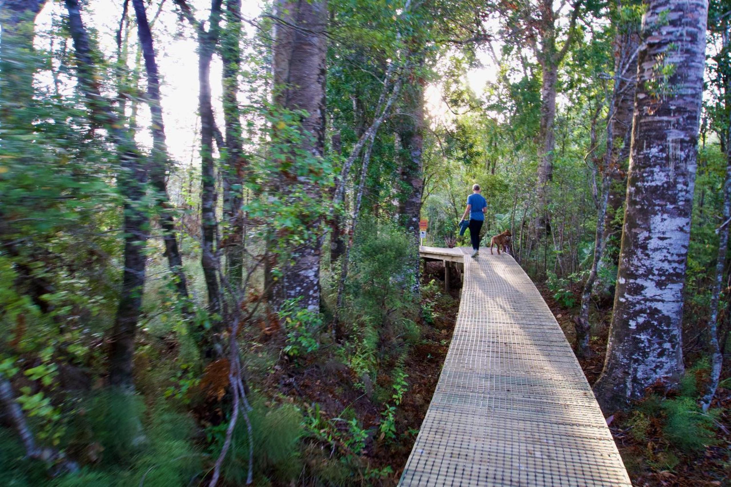 Sapphire Springs Holiday Park and Thermal Pools