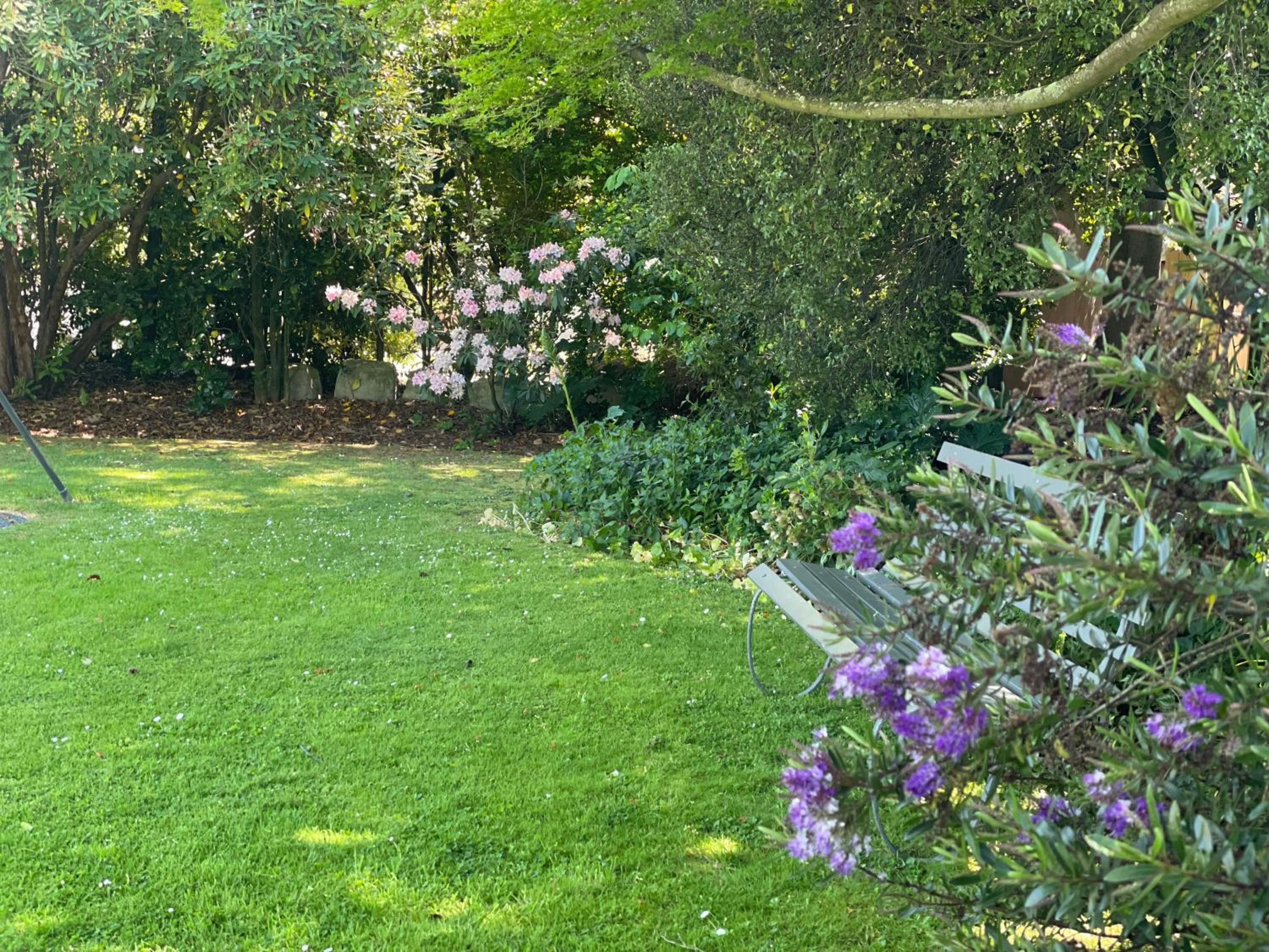 Photo 19