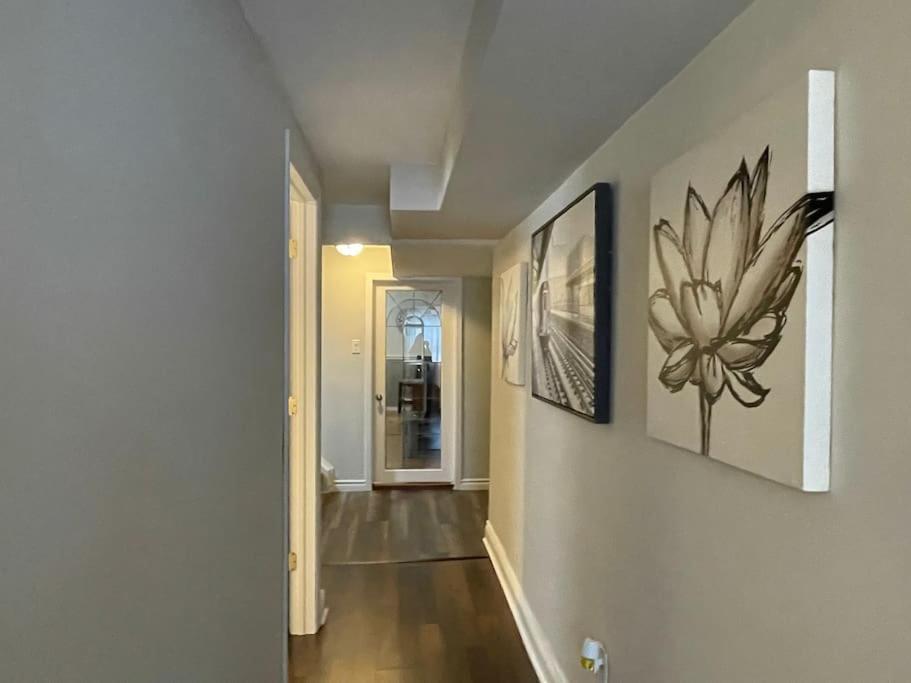 2 bedroom rental apartment , 1 sofa bed, 2 car parking