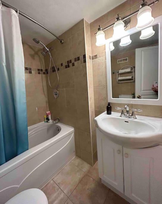 2 bedroom rental apartment , 1 sofa bed, 2 car parking