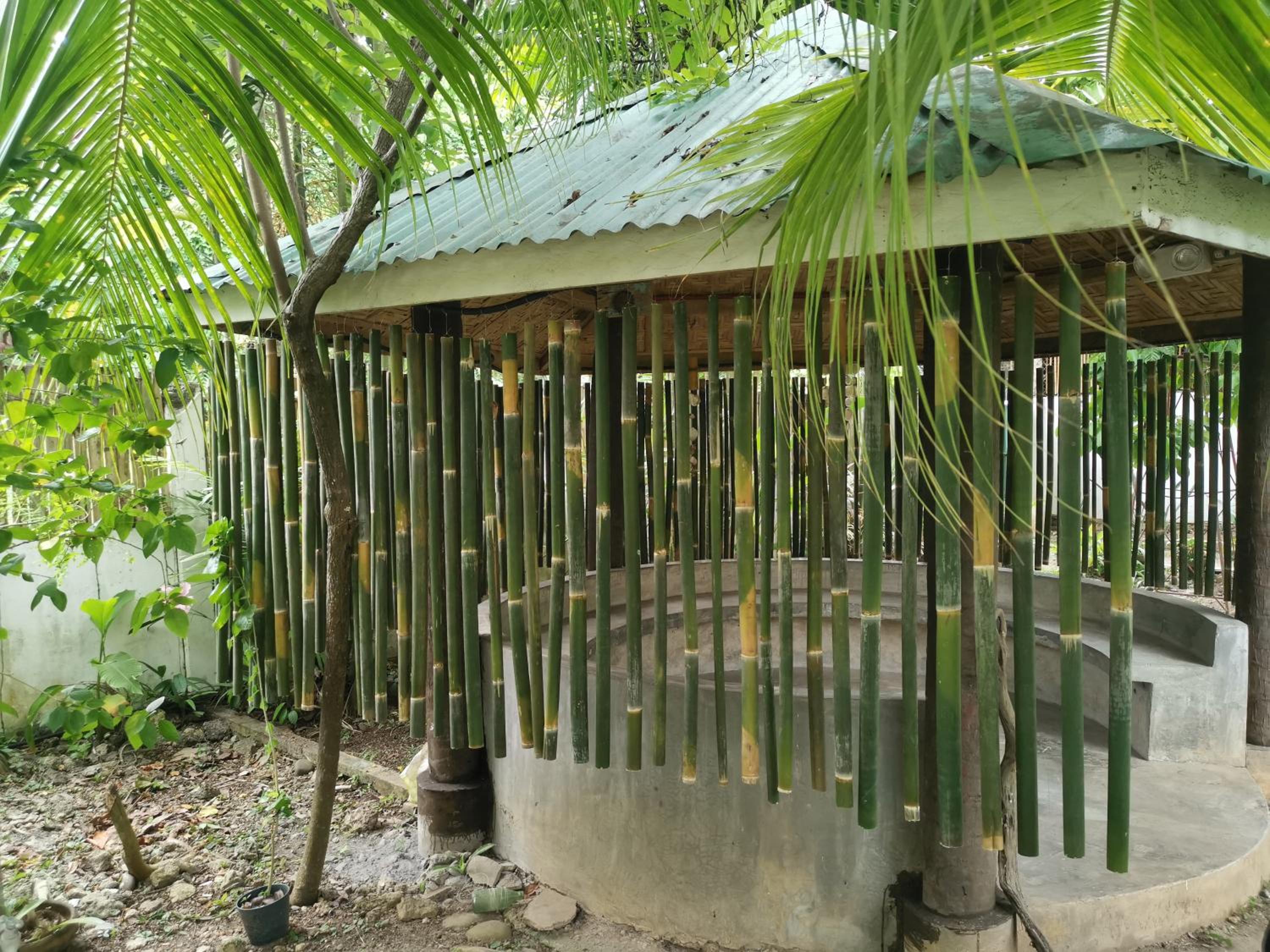 La Vida Hostel Samal Island, photo 59
