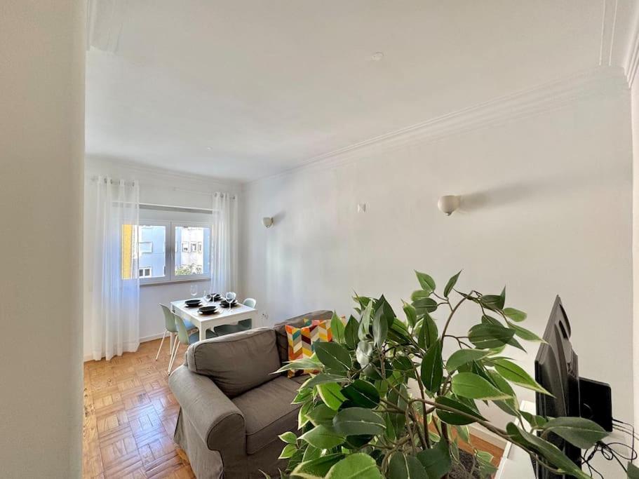 Viver - Apartamento em Campo de Ourique view 3