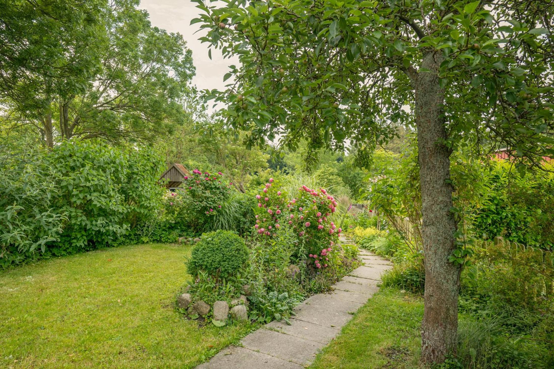 Hus rode Dör