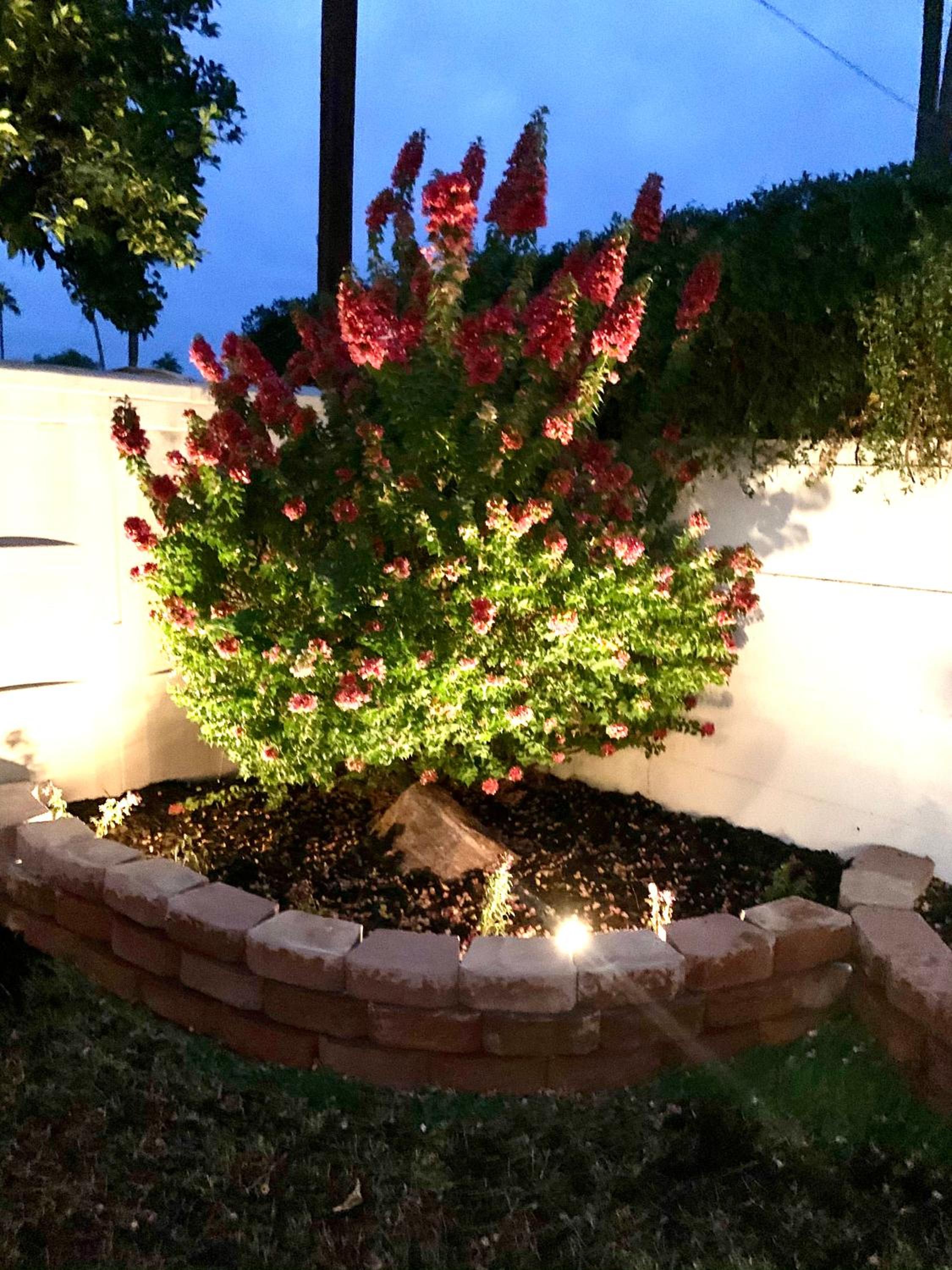 Entire Perfectly located Gem in Old Town Scottsdale view 3