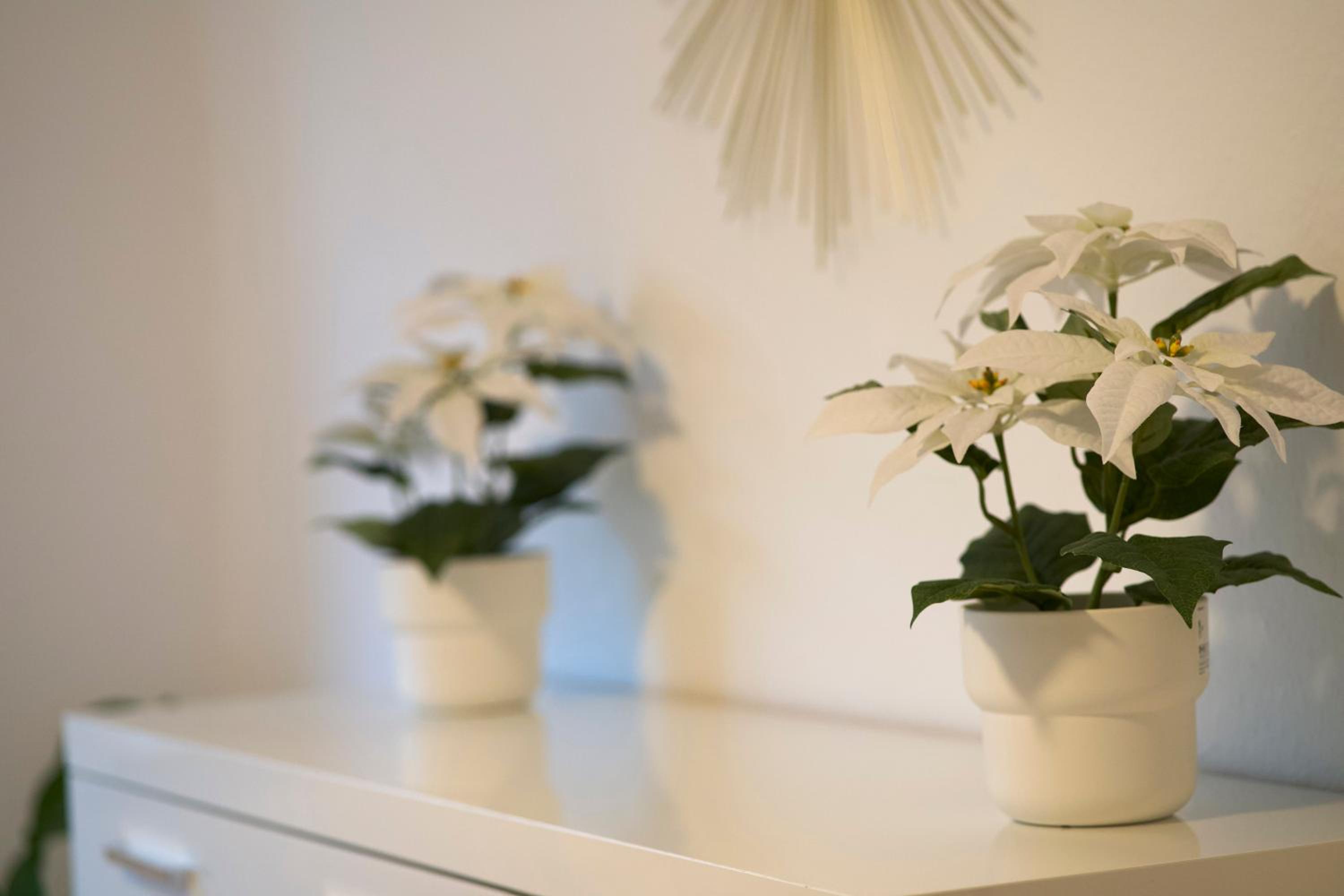 Modern und Gemütlich, Ferienwohnung mit Balkon und Netflix in Leimen WeHome Komfort