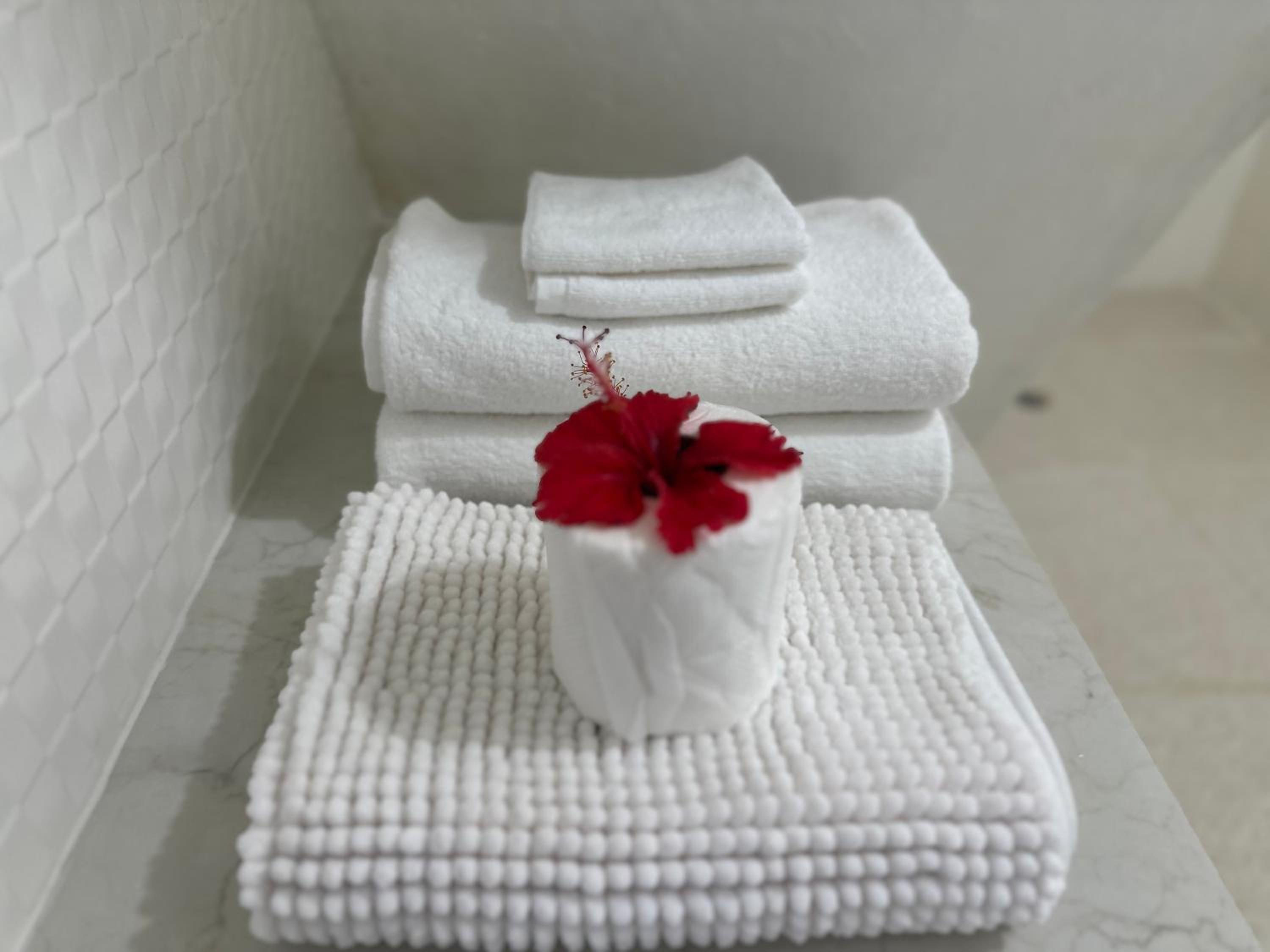 Forest View Apartments Seychelles photo 3