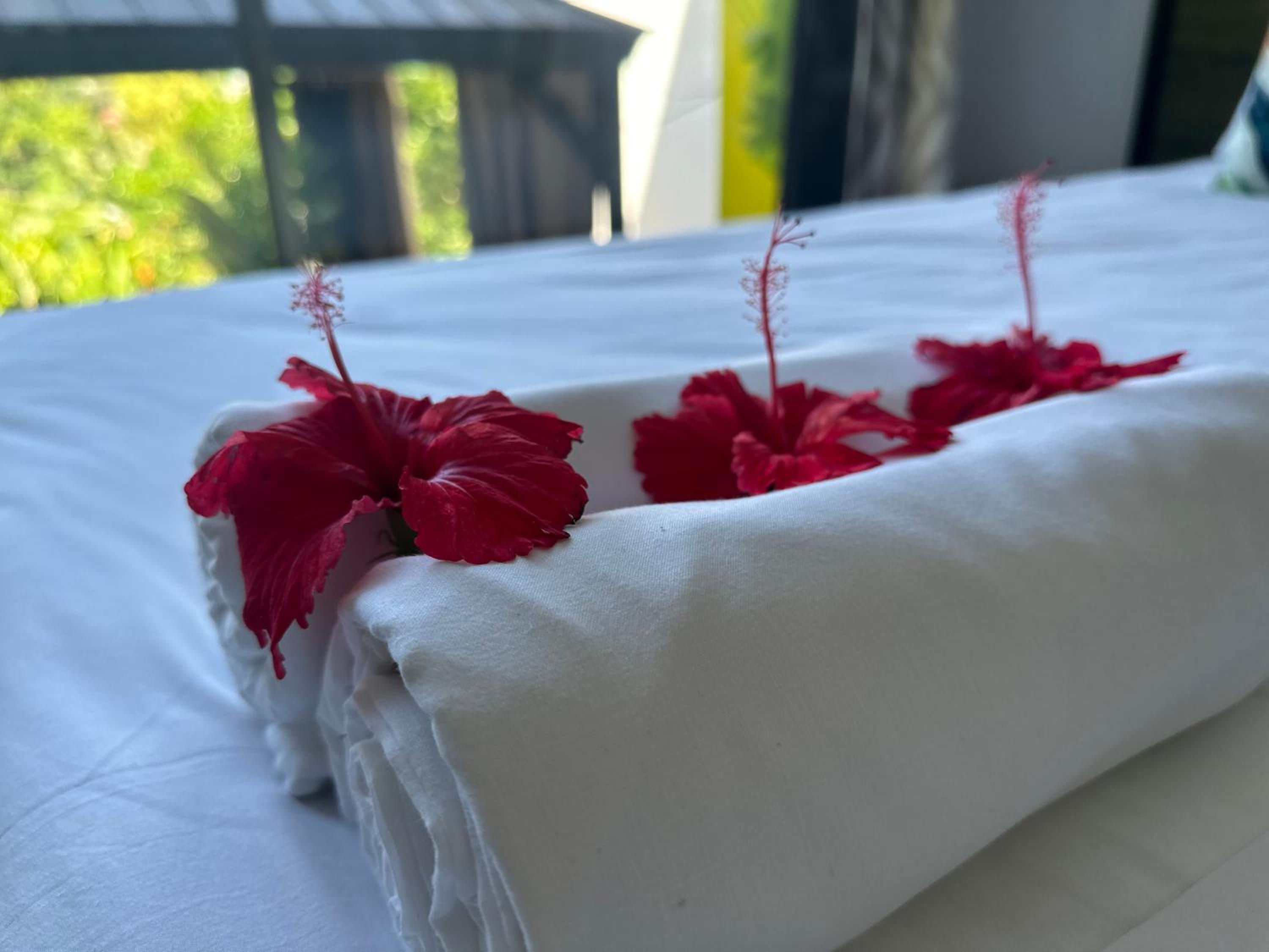 Forest View Apartments Seychelles photo 4