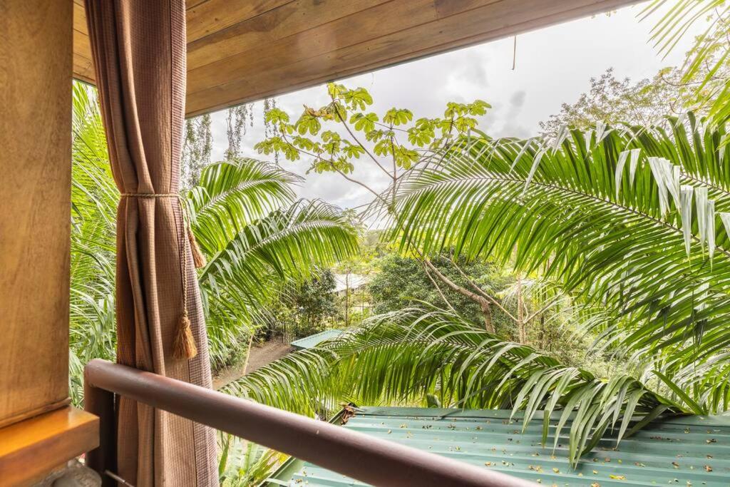 Casita Morpho, high speed wifi