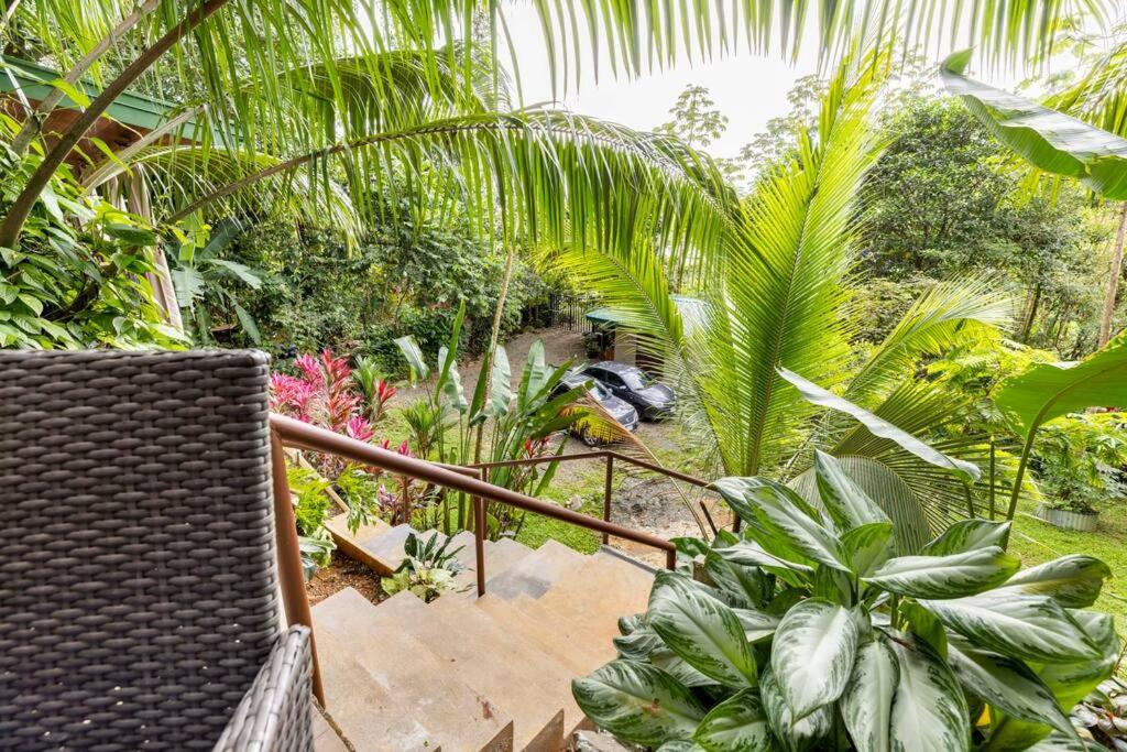 Casita Morpho, high speed wifi