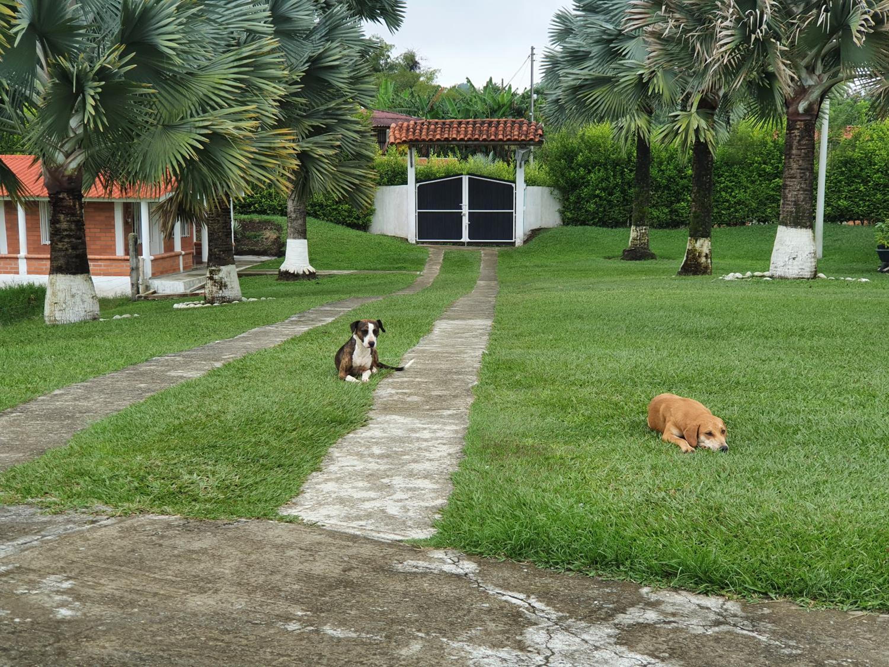 El paraíso