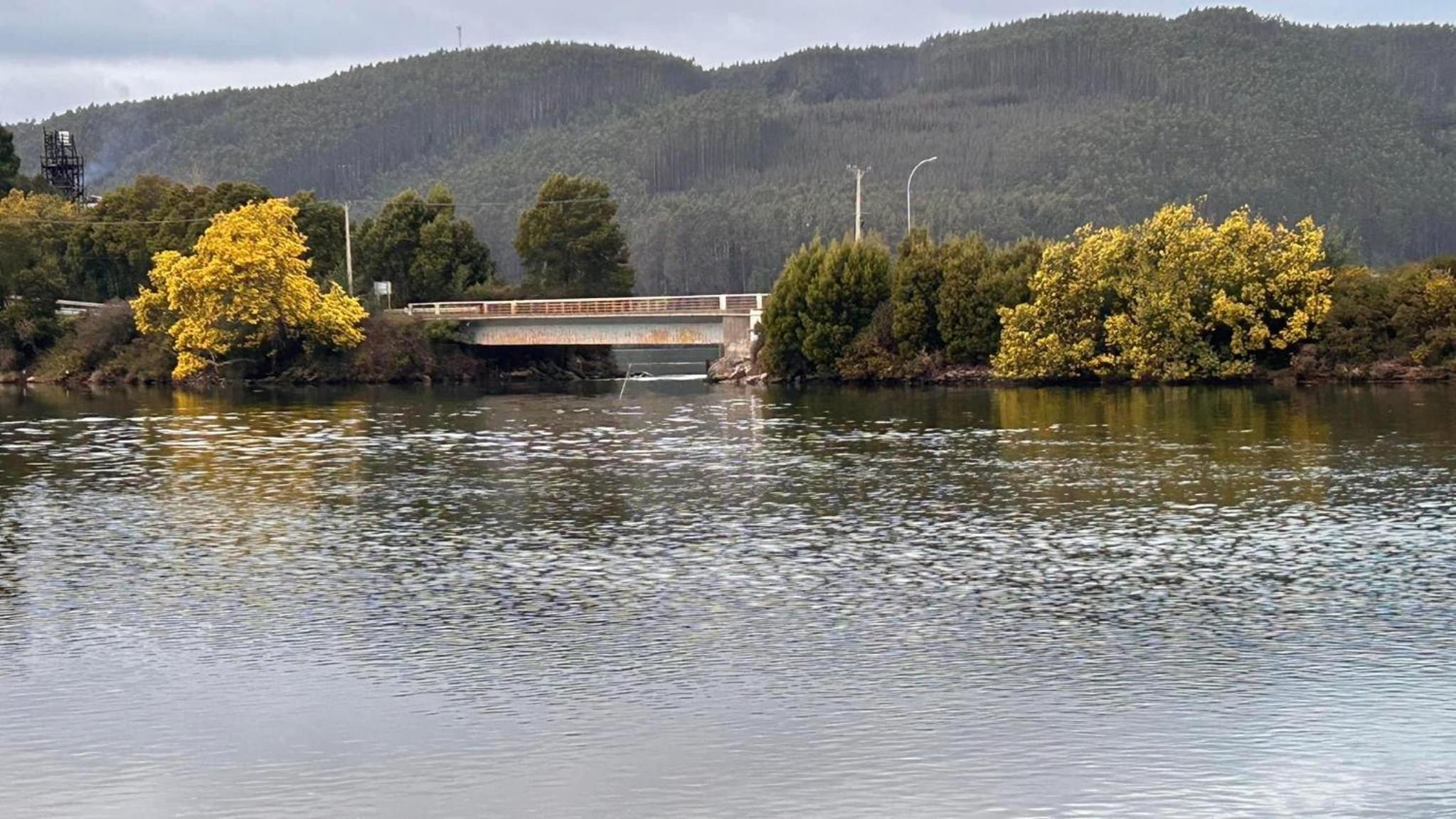 Cabañas en Valdivia LU