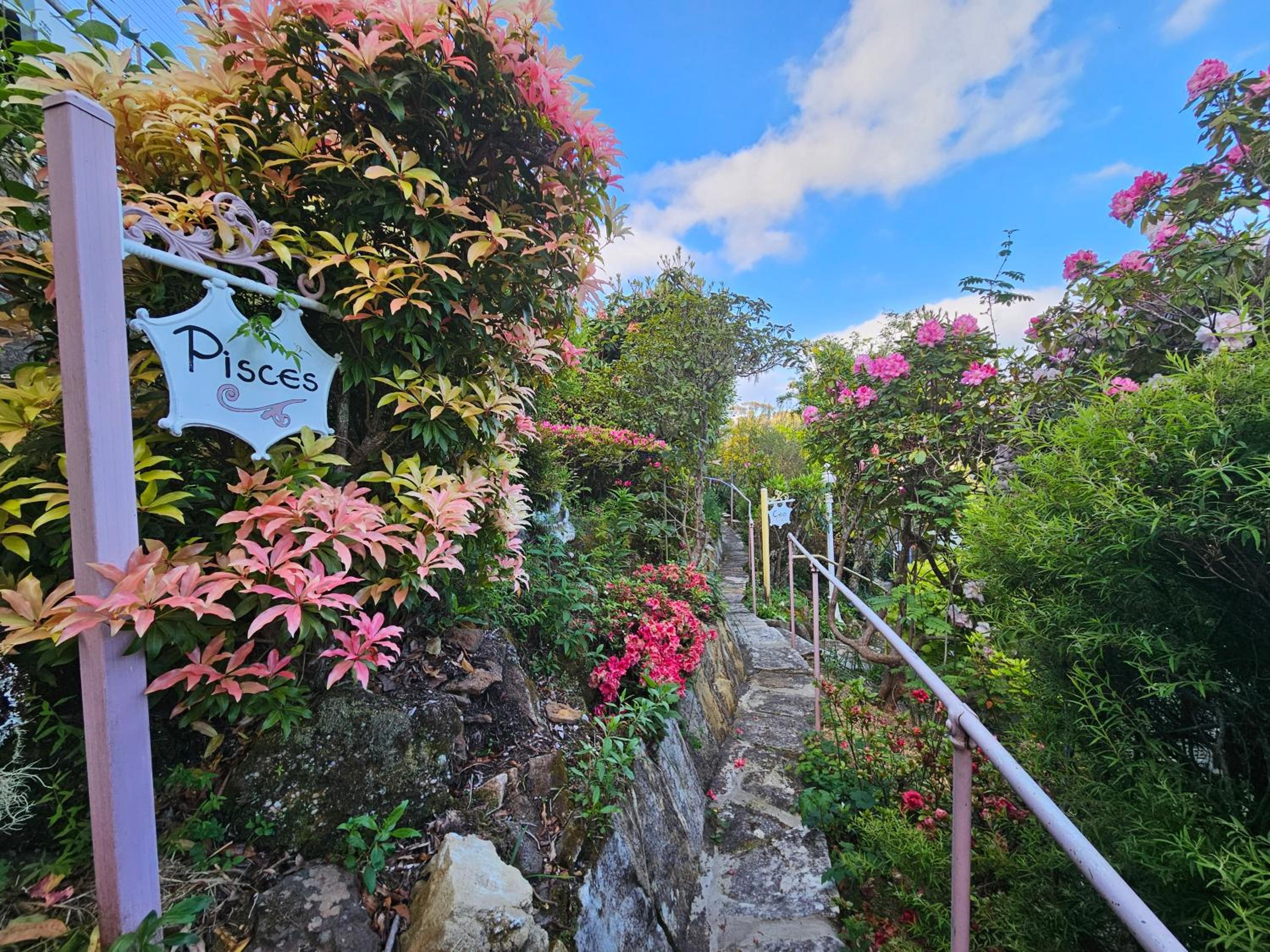 Dalia's Blue Mountain Retreat