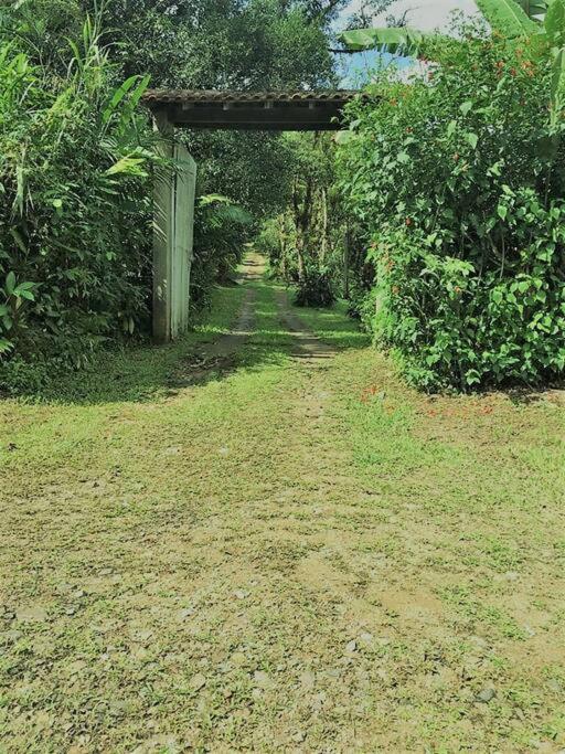 Cantinho do Bem - Lindo Chalé com piscina exclusiva e vista pra Serra do Mar!