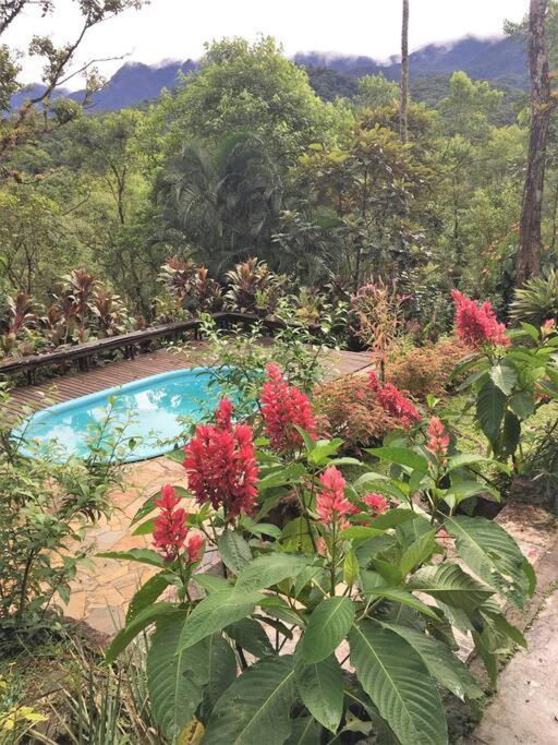 Cantinho do Bem - Lindo Chalé com piscina exclusiva e vista pra Serra do Mar!