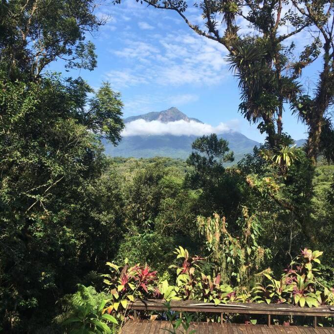 Cantinho do Bem - Lindo Chalé com piscina exclusiva e vista pra Serra do Mar!