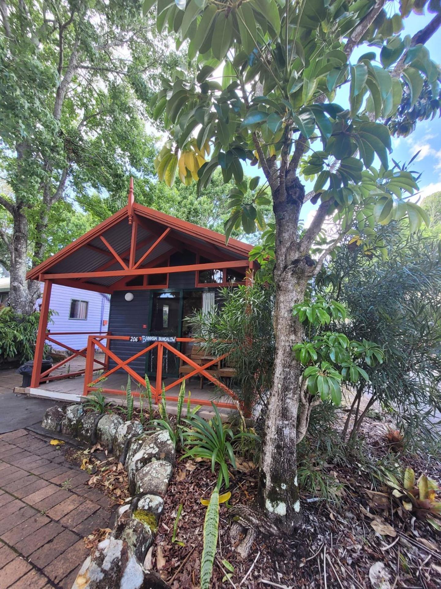 Lani's Holiday Island