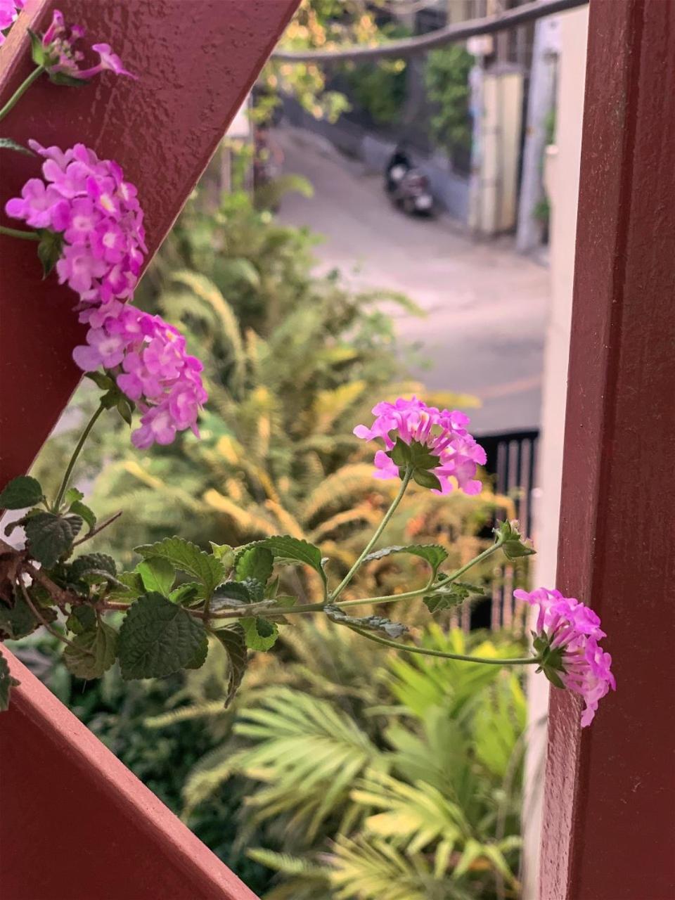 An Hiên Homestay Hội An