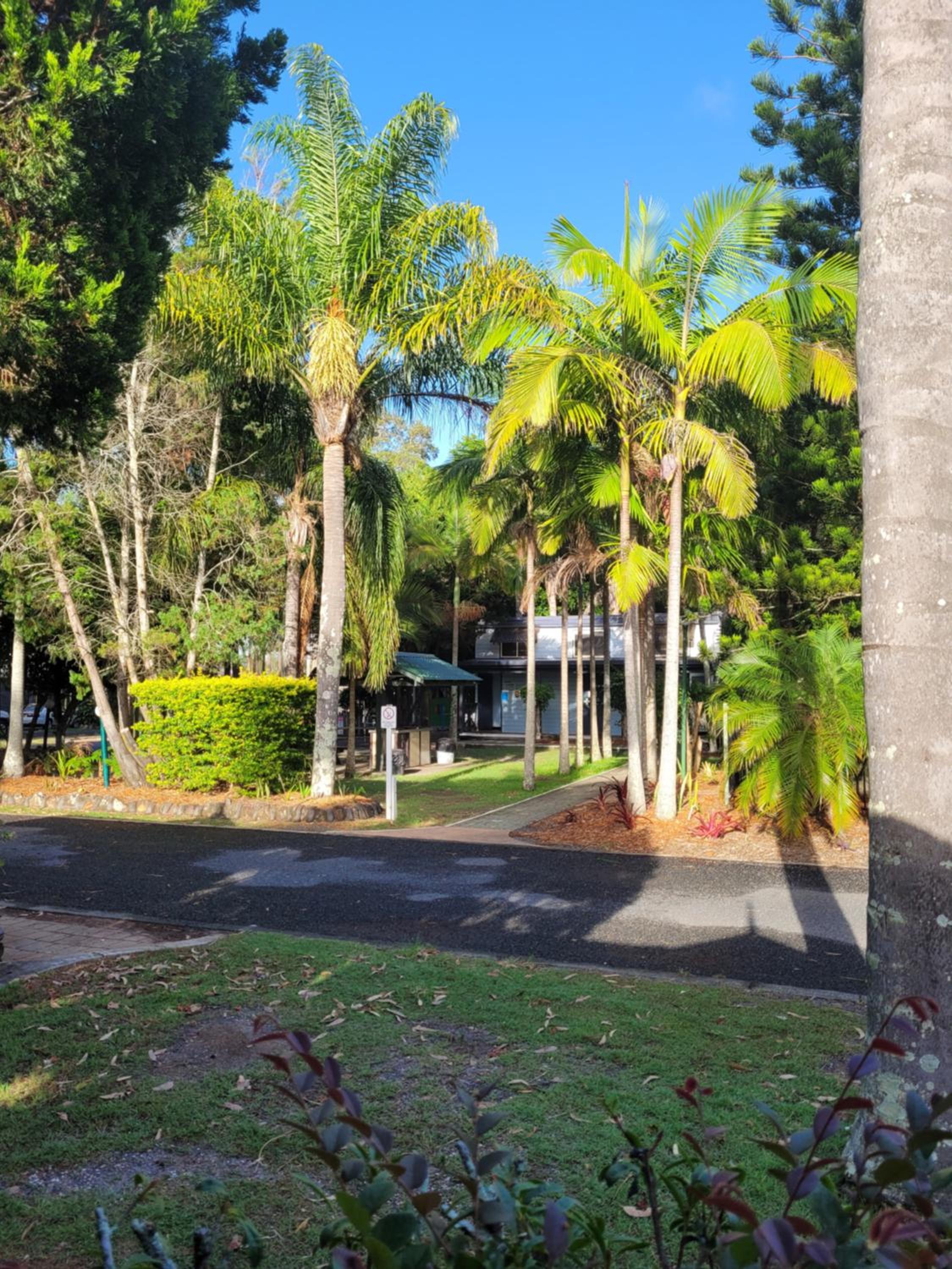 Lani's Holiday Island