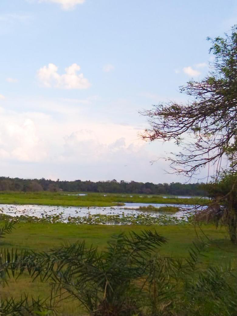 Lake Side Resort view 2