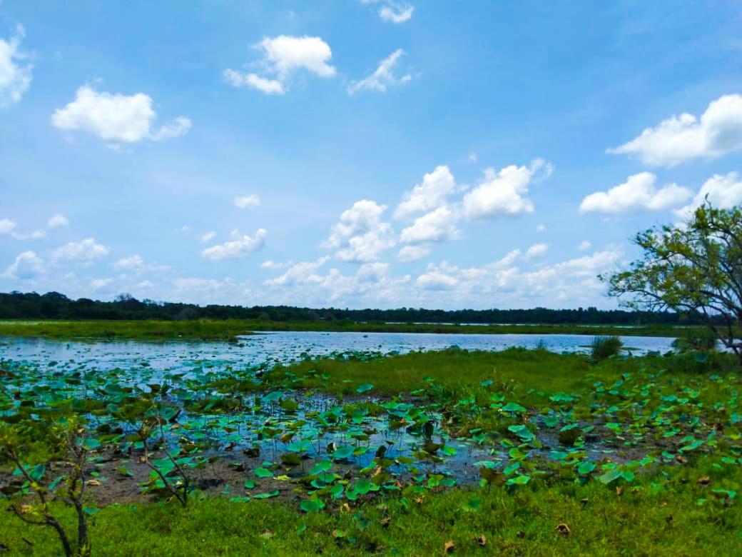 Photo 38