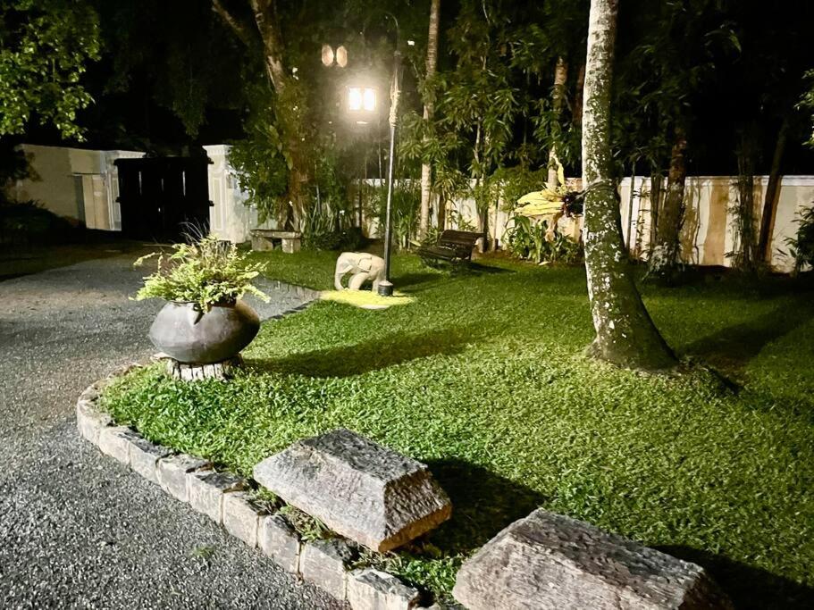 Photo 31