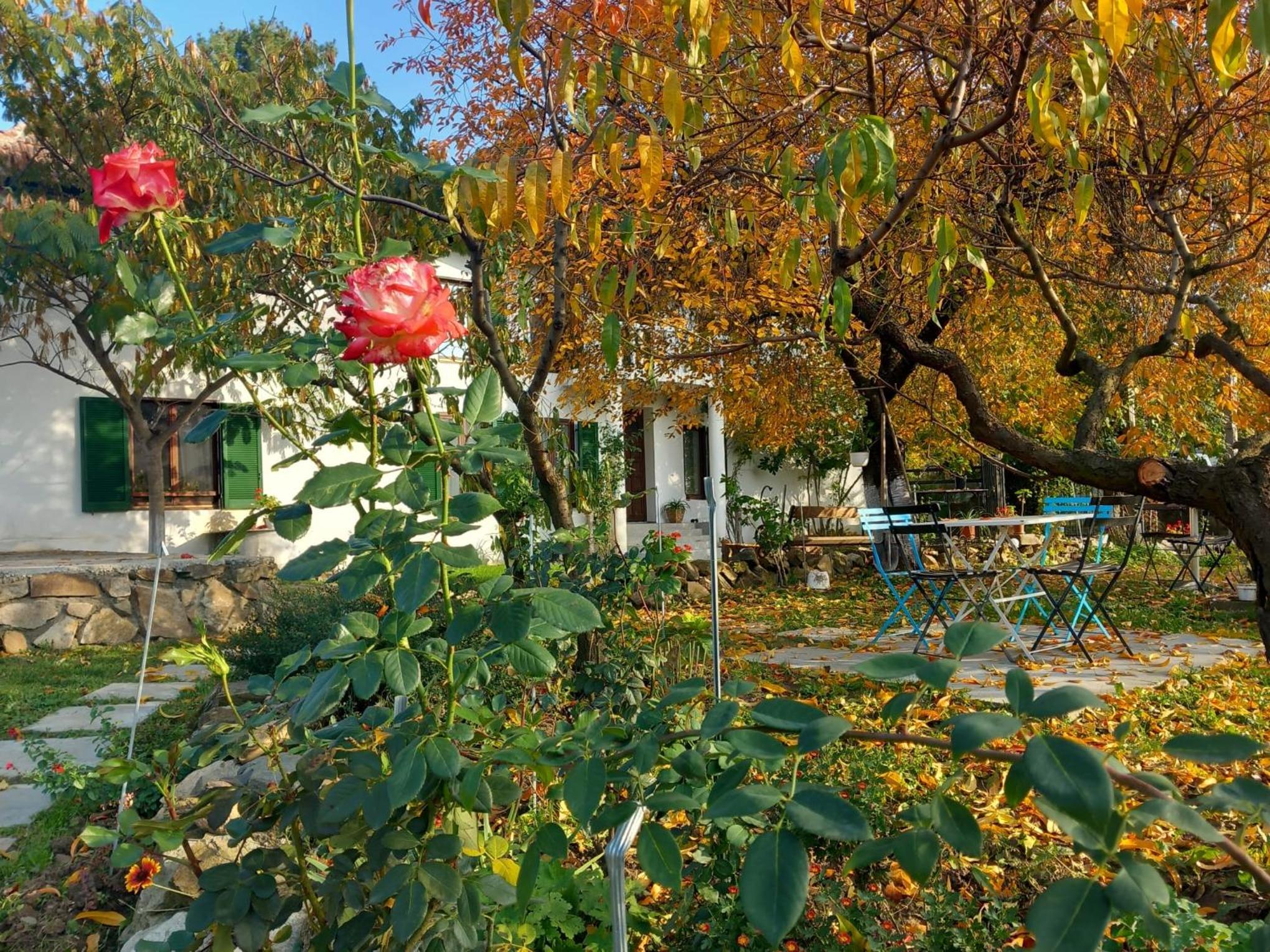 Casa Marza