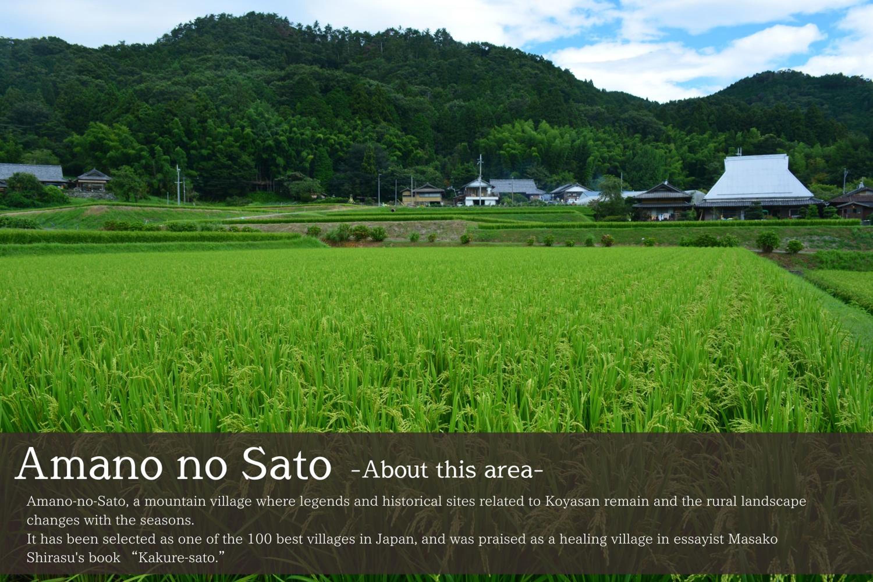 Sanso Amanosato