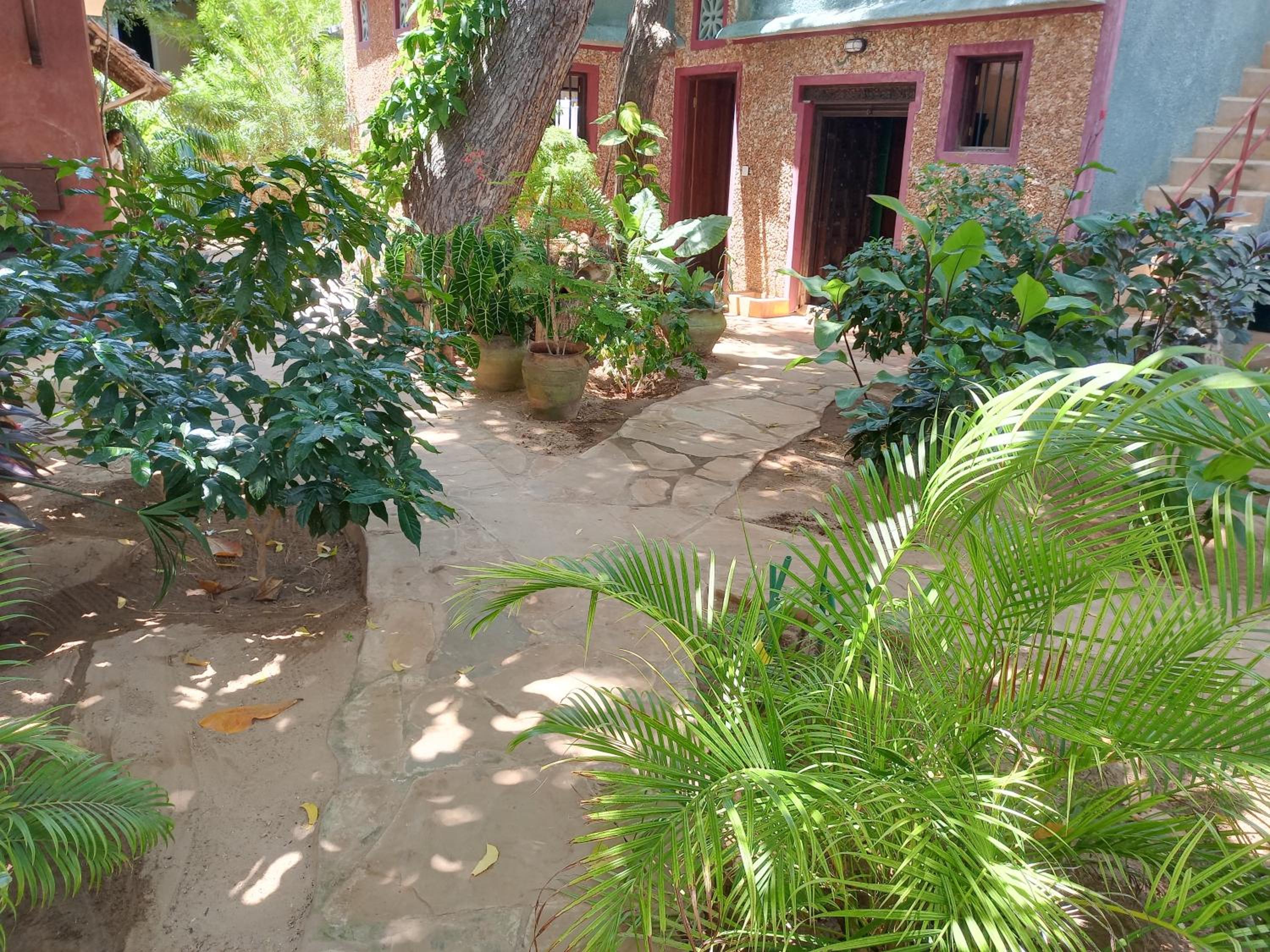 Photo 26