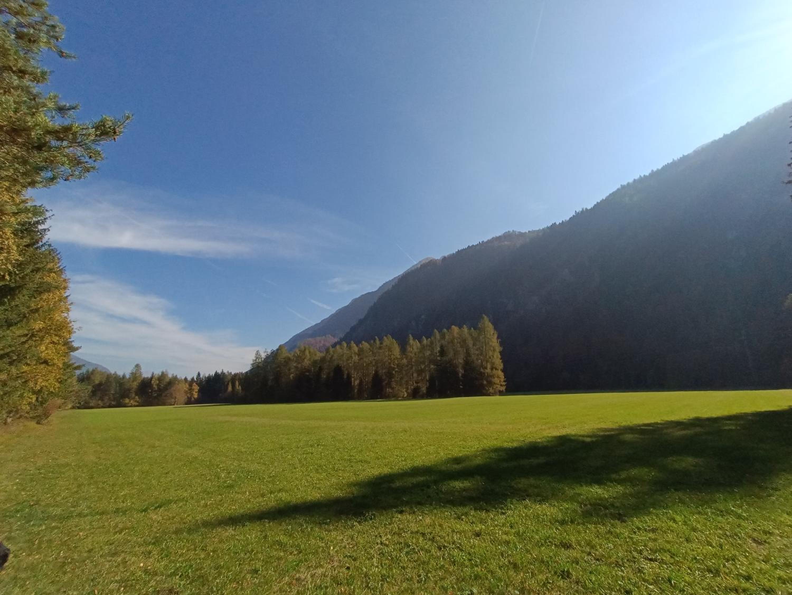 Photo 44