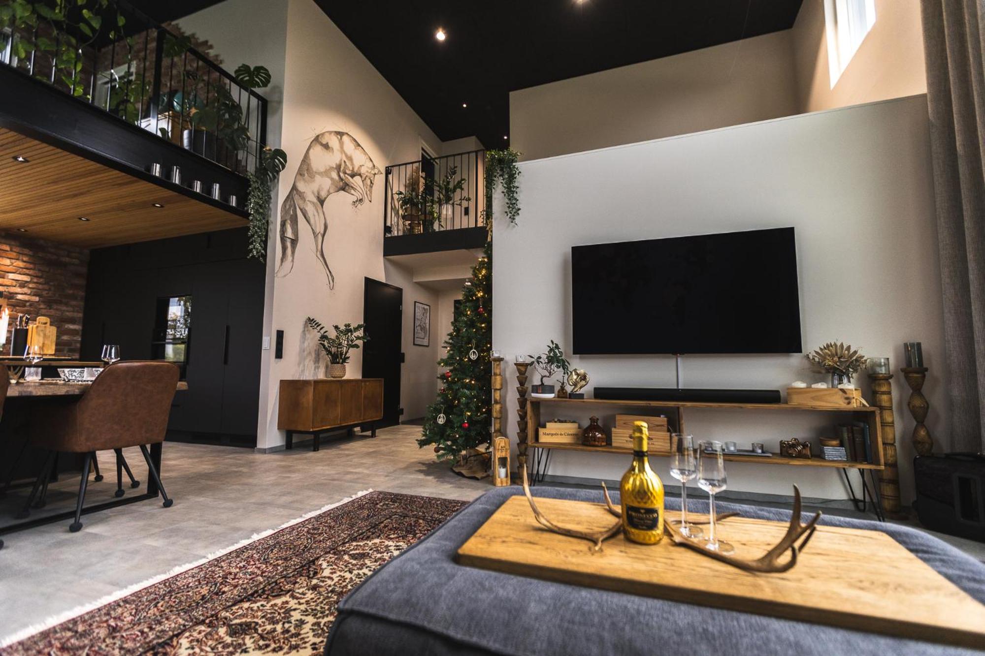 New arctic loft-style dream villa