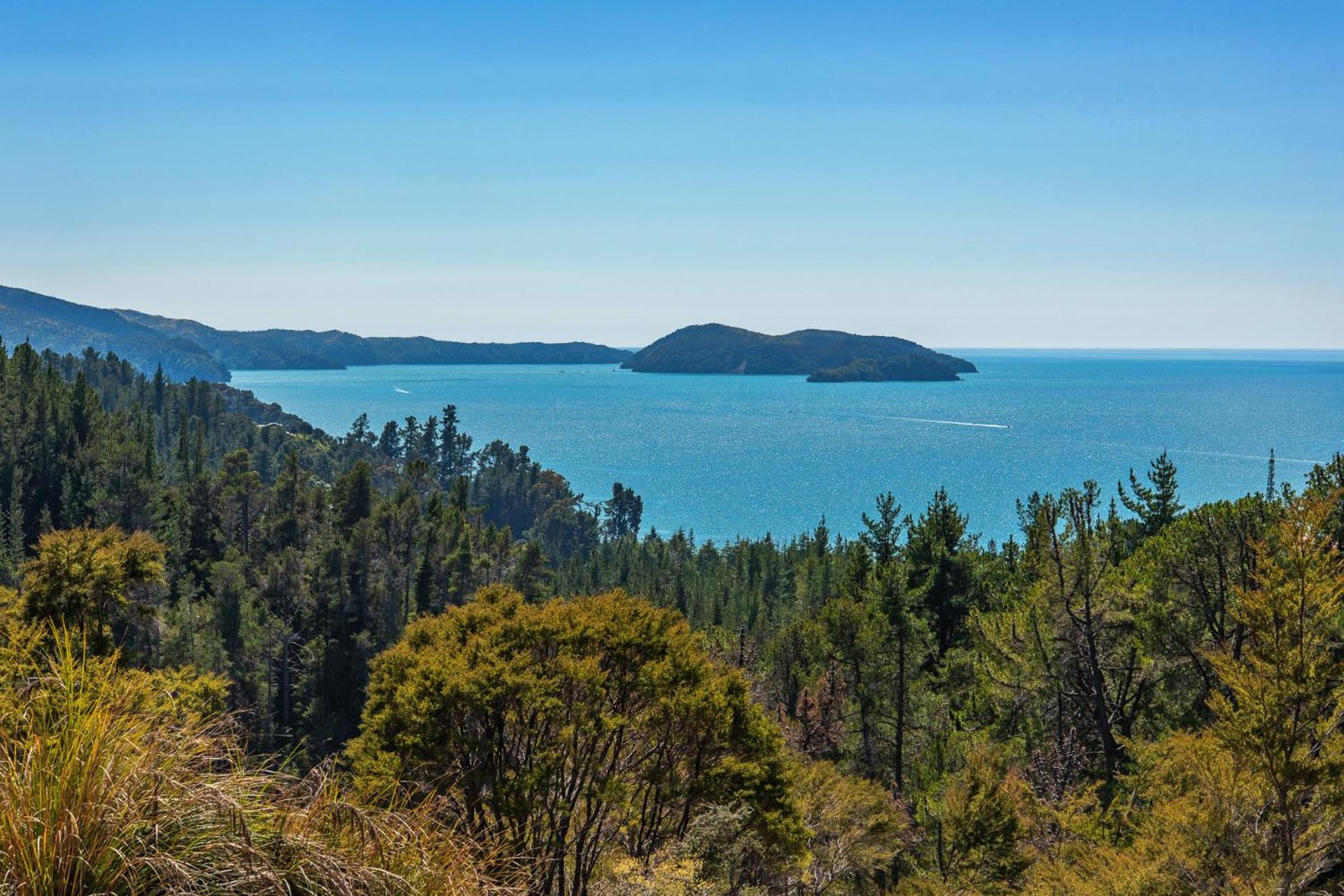 Kaiteriteri Escape view 3