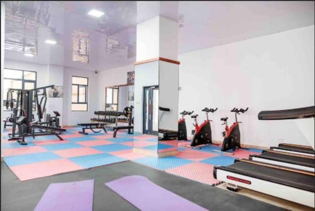 Enzi heights luxurious 2 bedroom furnished and serviced apartment with a pool,gym and playground