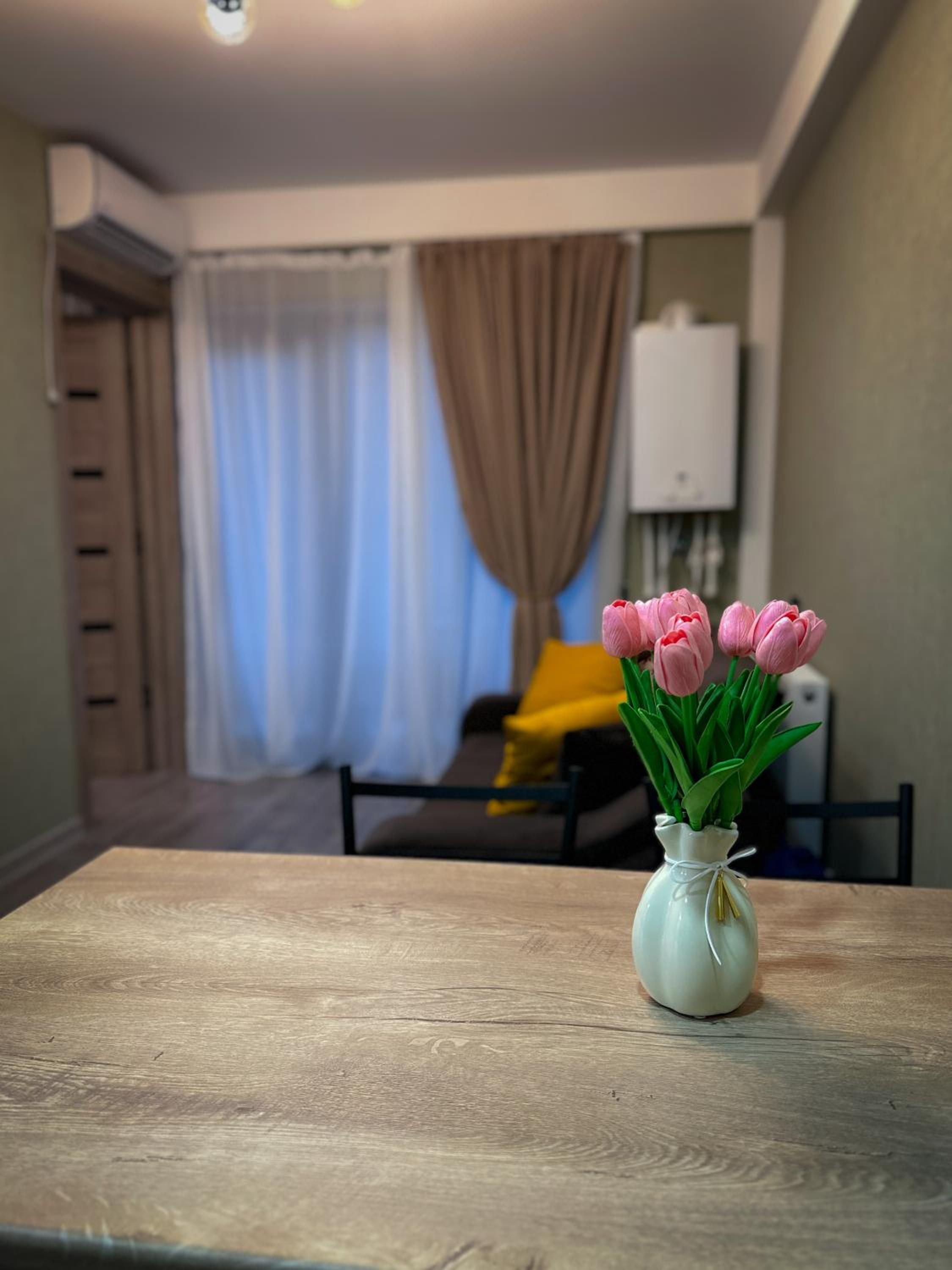 New Borjomi27 Apartment view 2