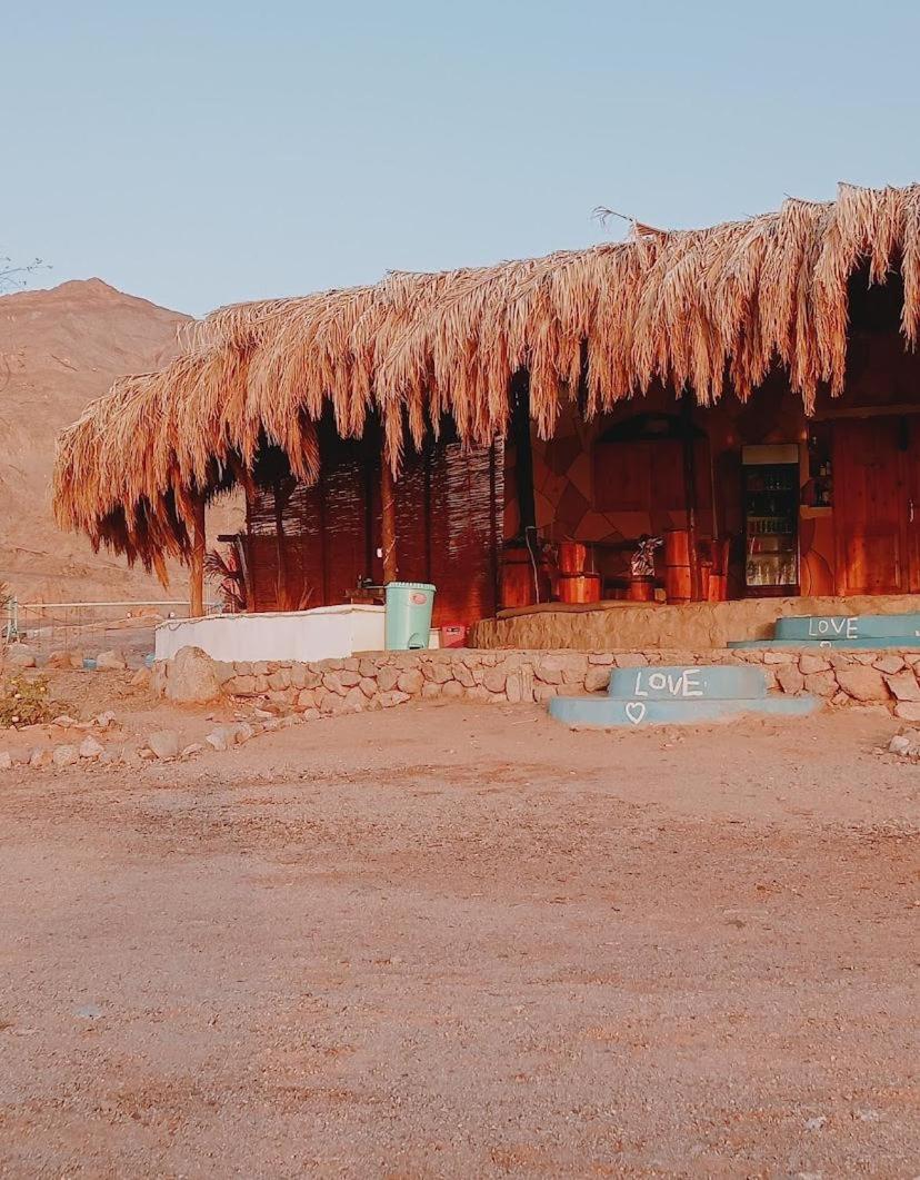 Anne Sinai best camp view 2