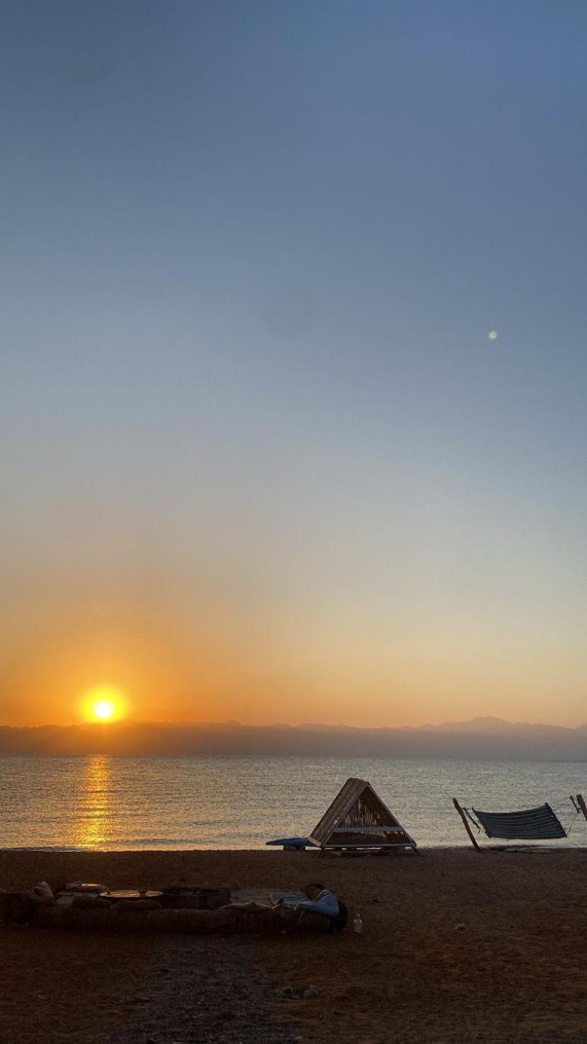 Anne Sinai best camp view 3