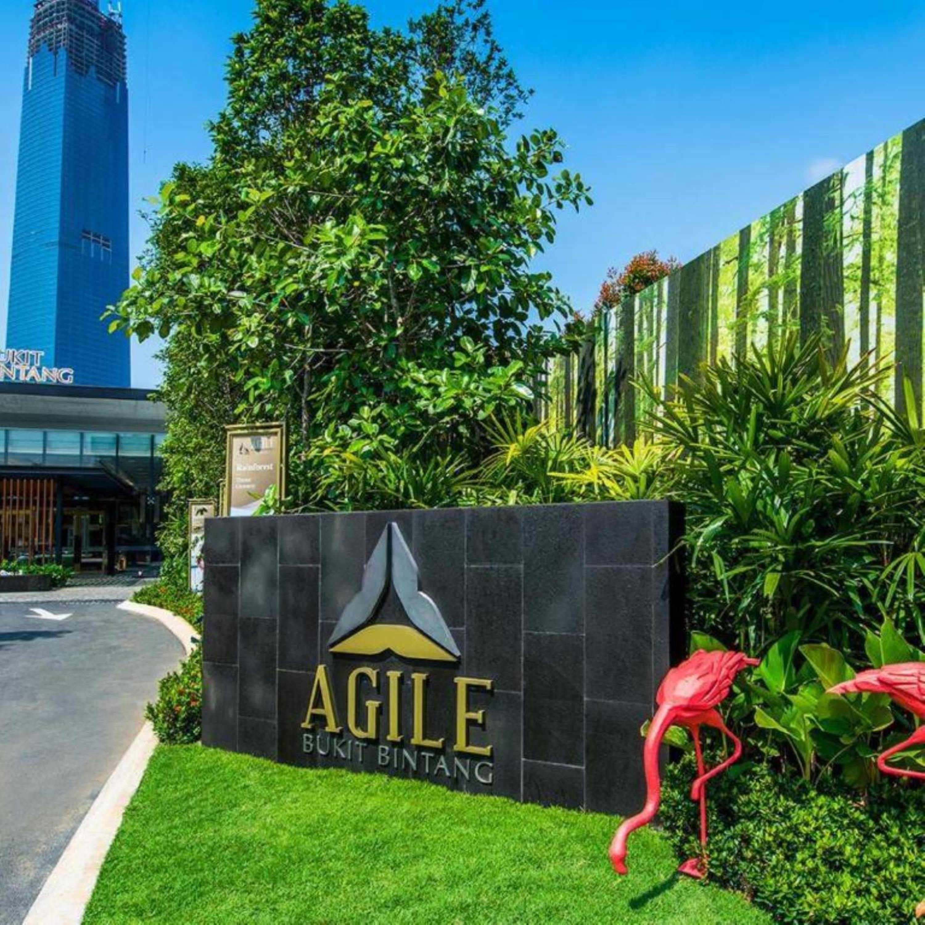 Marigold Suite At Agile Residence