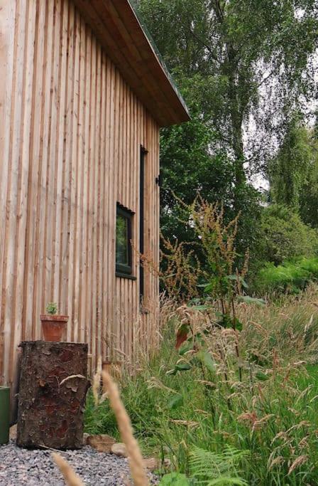 Gwilderness Cabin