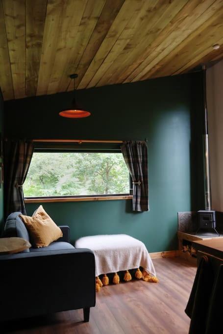 Gwilderness Cabin