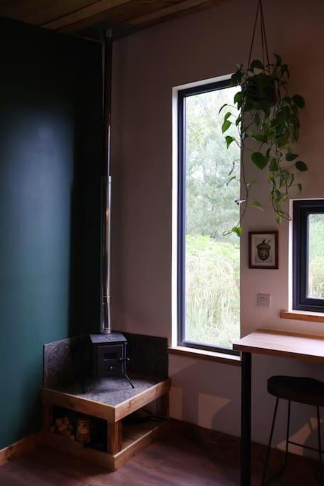 Gwilderness Cabin