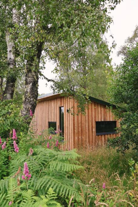 Gwilderness Cabin
