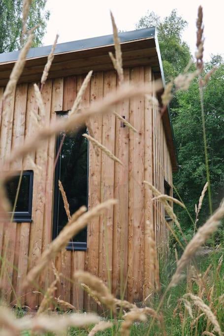Gwilderness Cabin
