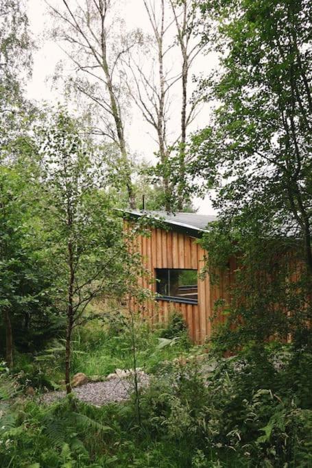 Gwilderness Cabin