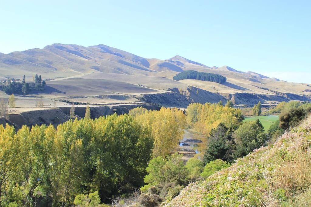 Olive Grove Cabin Waipara view 2