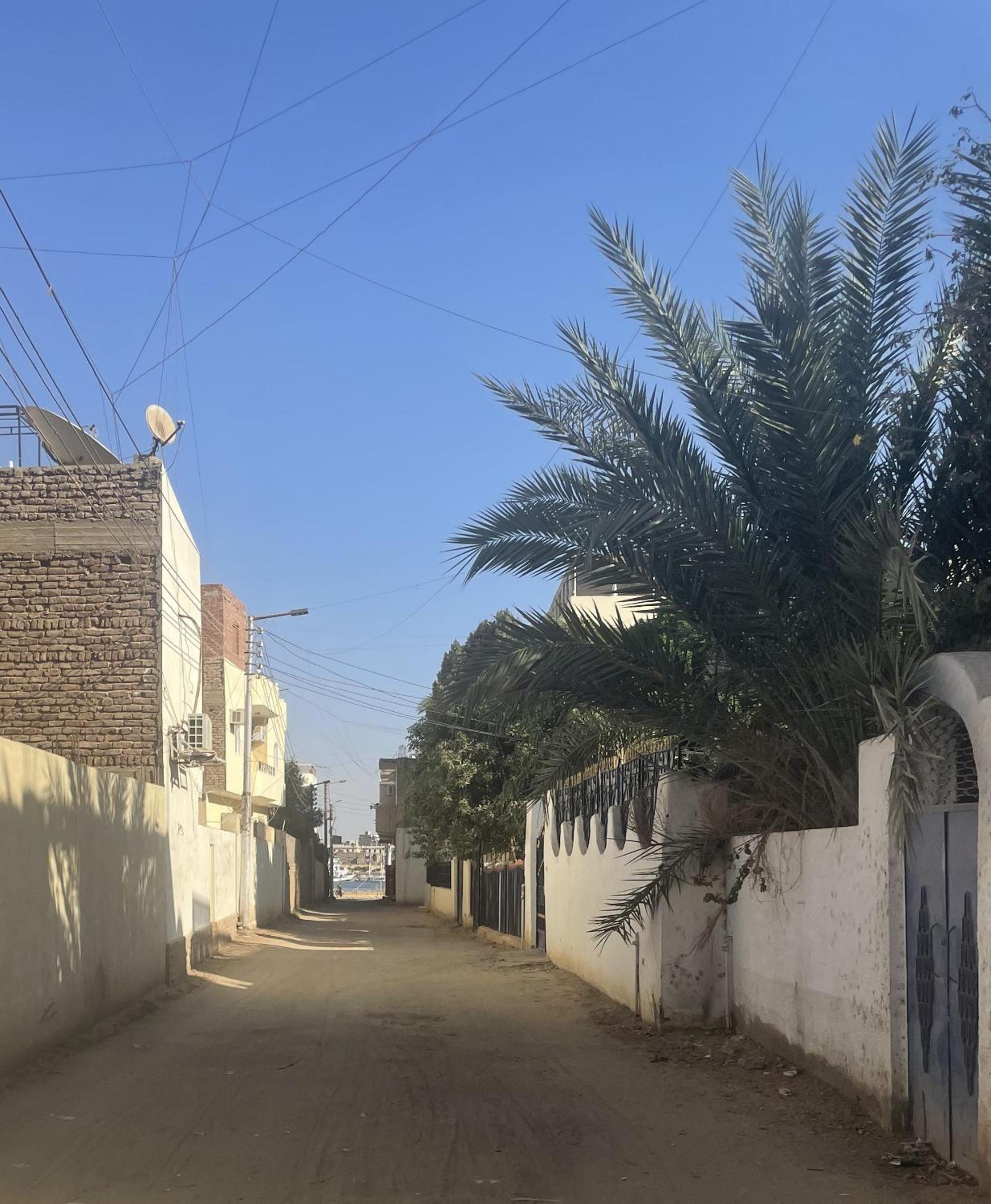 Nile Temple view