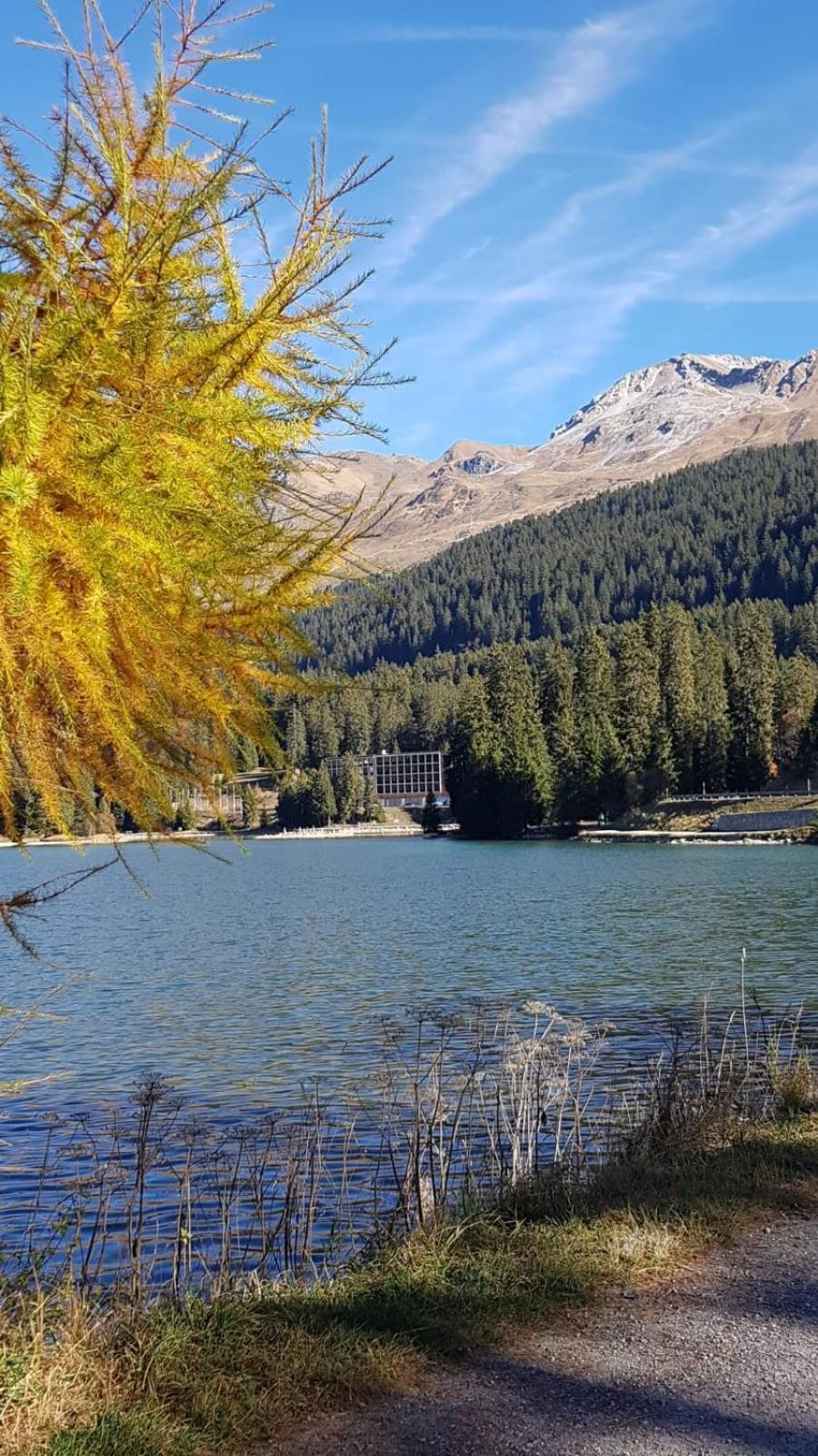 Winterzsuber Lenzerheide