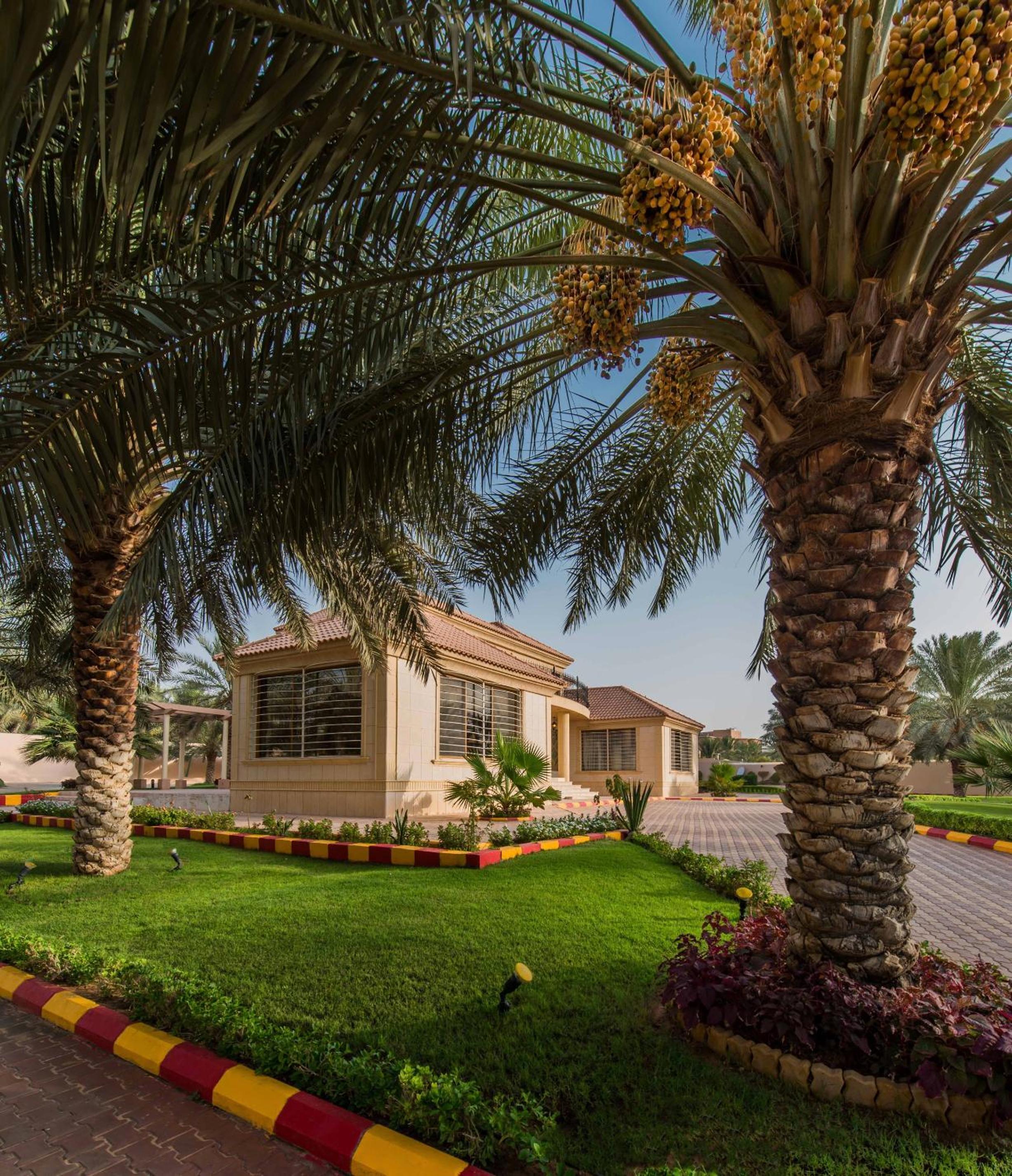 Boudl Al Nakheel view 4