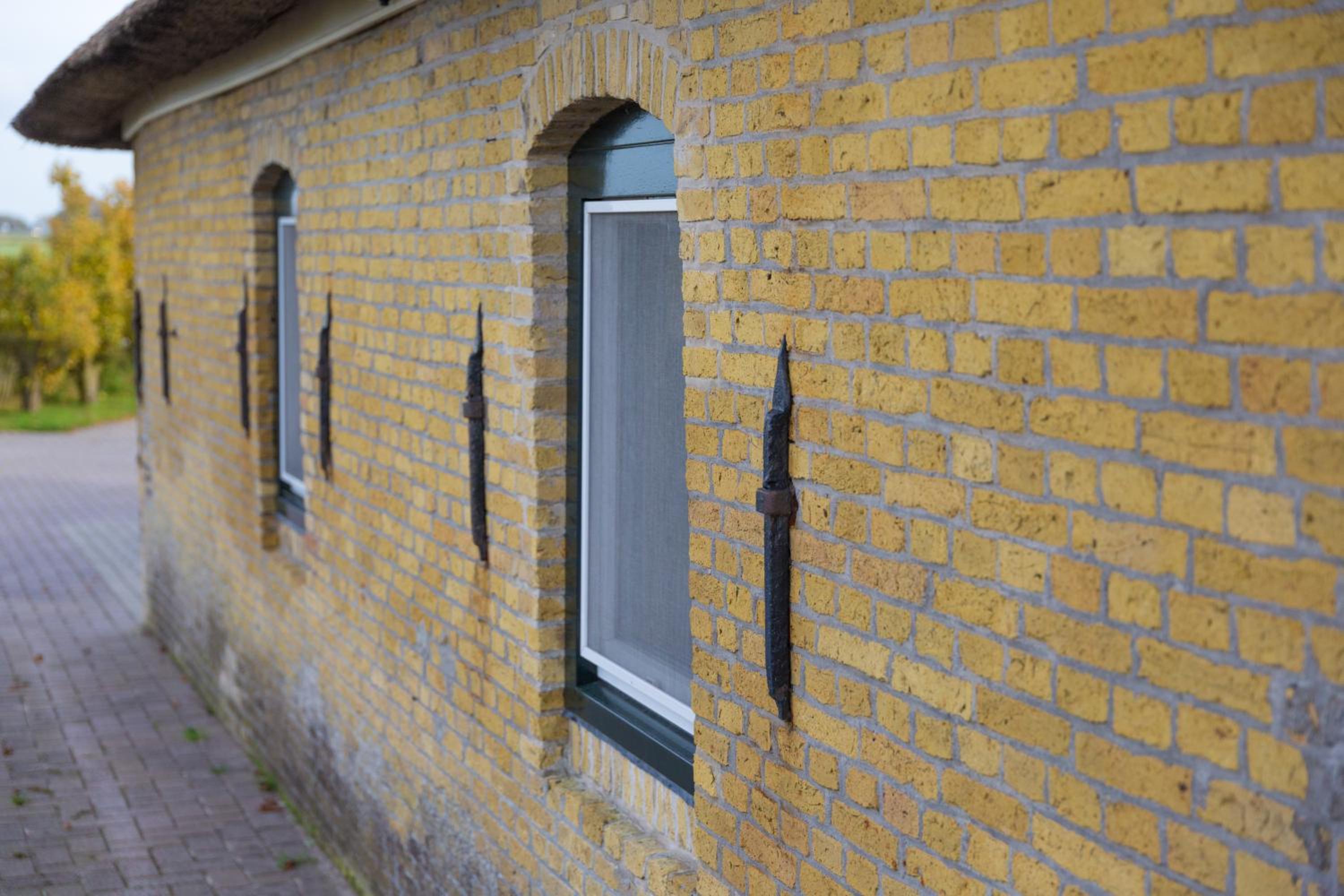 Photo 22