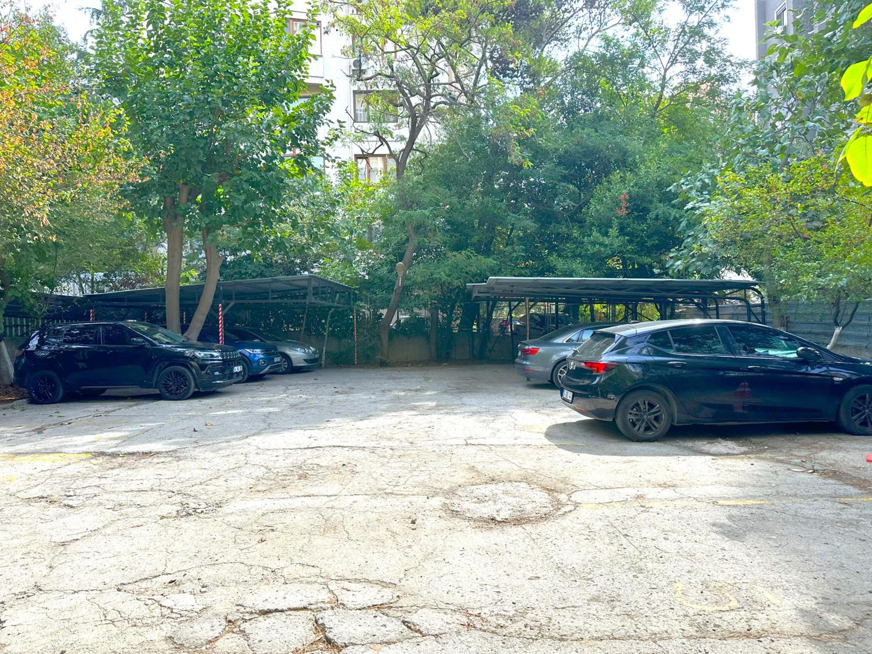 Cozy Apartment in Kadıkoy