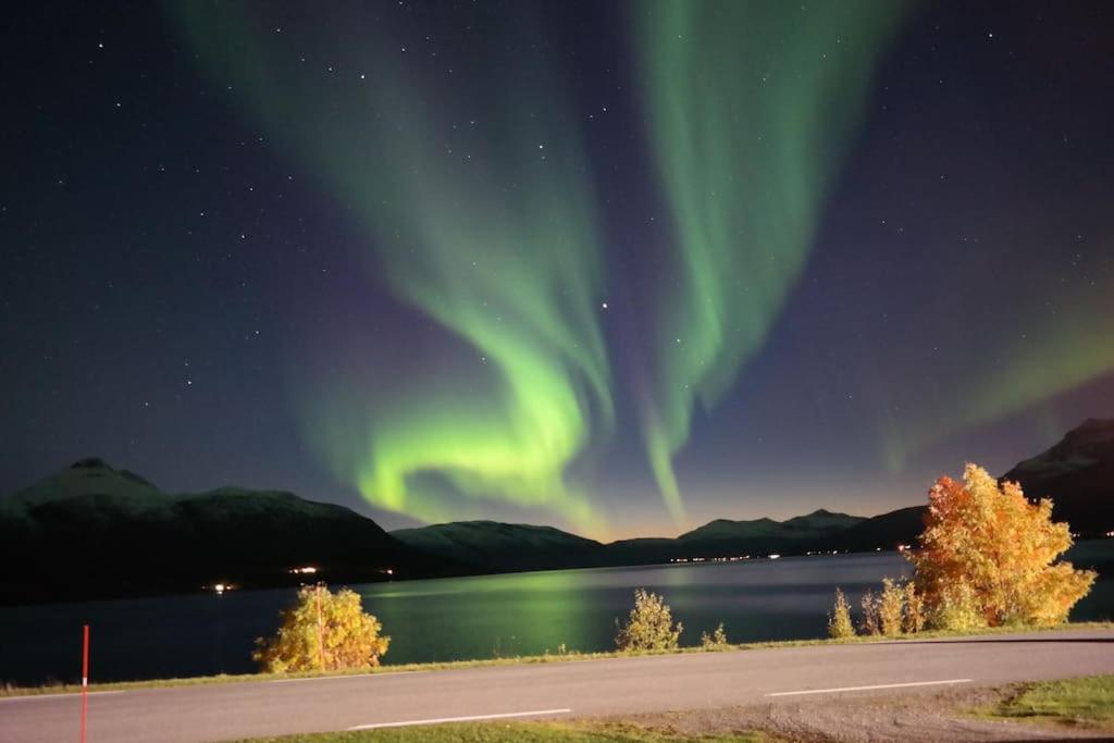 Northern Lights Haven