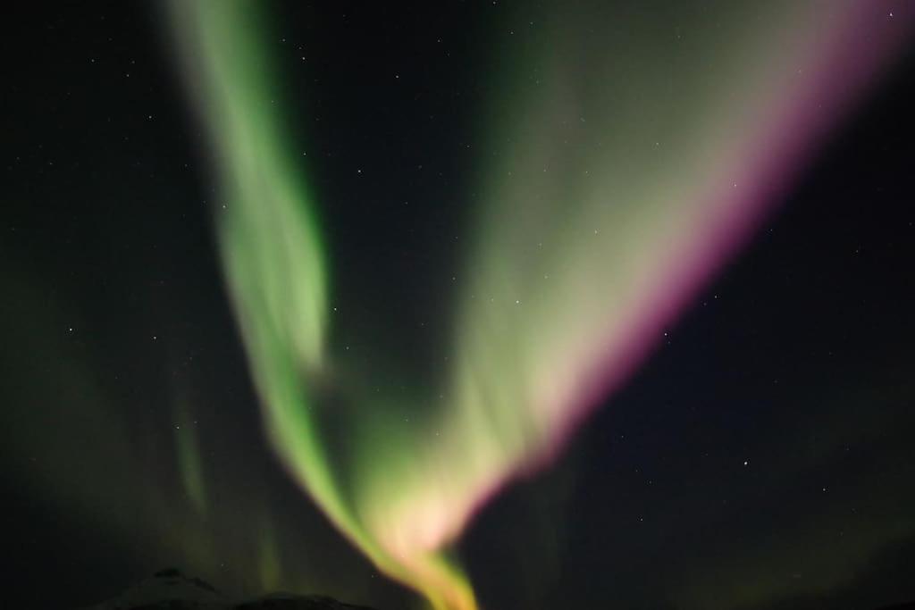 Northern Lights Haven